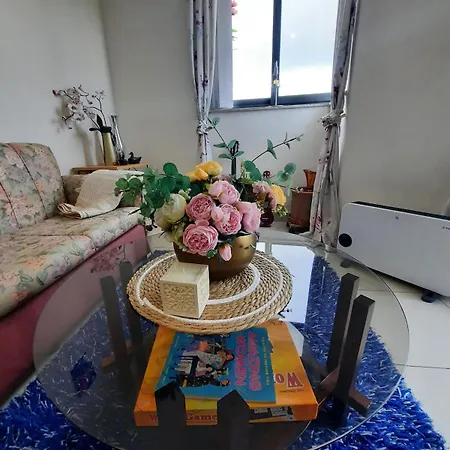 Spacious 1br - 10 Min Walk To Airport 公寓 *
